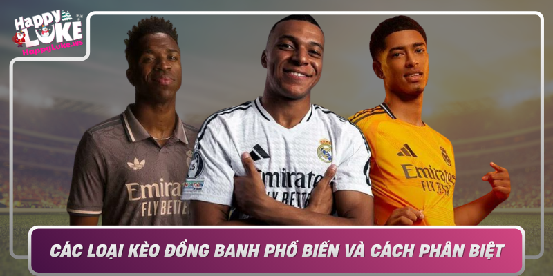 Cac Loai Keo Dong Banh Pho Bien Va Cach Phan Biet