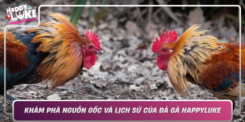 Kham Pha Nguon Goc Va Lich Su Cua Da Ga Happyluke