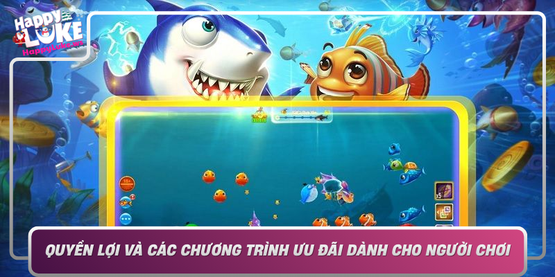 Quyen Loi Va Cac Chuong Trinh Uu Dai Danh Cho Nguoi Choi